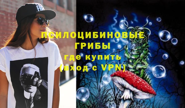 ешки Алзамай