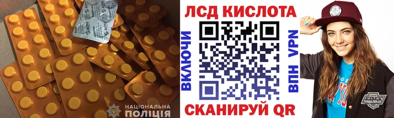 KRAKEN зеркало  Терек  ЛСД экстази ecstasy 