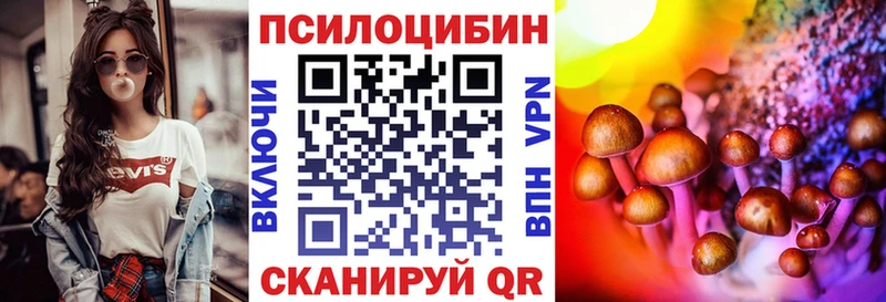 Галлюциногенные грибы прущие грибы  Терек 