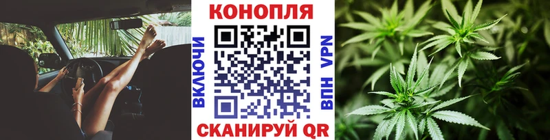 Конопля гибрид  Терек 